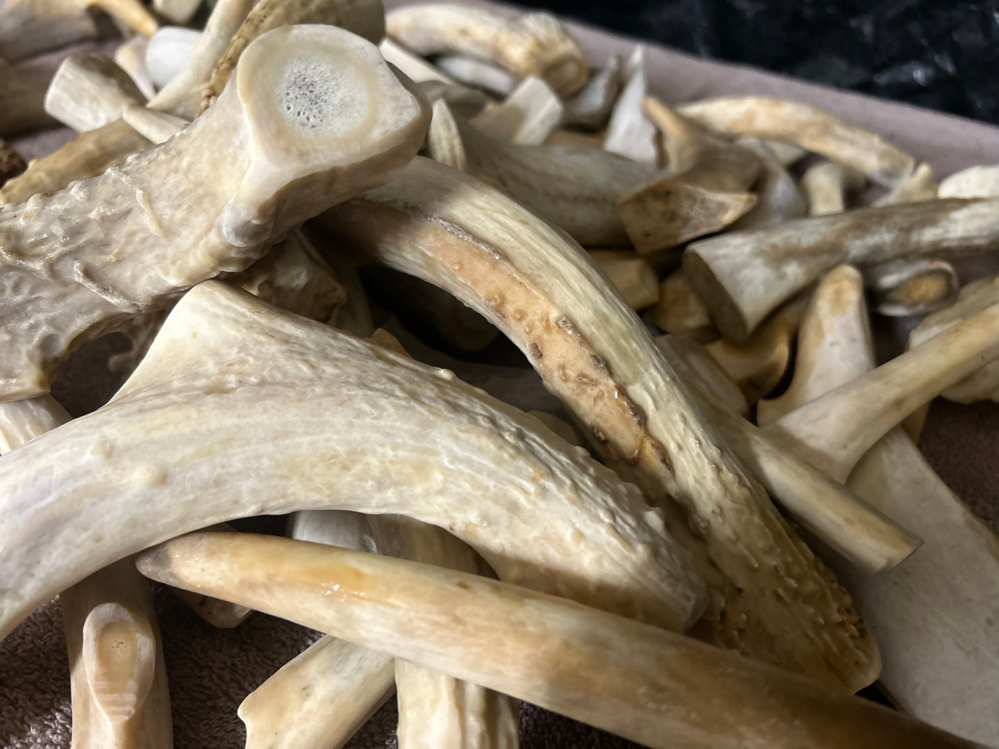 Antler Chews